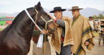 Criadores de Cauquenes programaron Día de Campo con interesante Taller de Morfología Criadores de Cauquenes programaron Día de Campo con interesante Taller de Morfología
