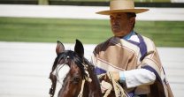 Criadores de Petorca tendrán Día de Campo con Alfonso Criadores de Petorca tendrán Día de Campo con Alfonso
