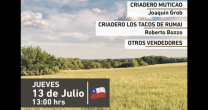 Los Tacos de Rumai y Muticao salen a remate este jueves Los Tacos de Rumai y Muticao salen a remate este jueves