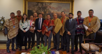 Federación de Criadores y Bancada del Campo buscan instaurar un Día Nacional del Caballo Chileno