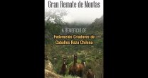 ¡Últimos días! Participa en el atractivo Remate de Montas de la Federación de Criadores ¡Últimos días! Participa en el atractivo Remate de Montas de la Federación de Criadores