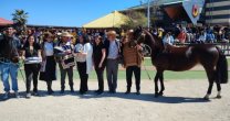 Criadores de Coquimbo acercaron el Caballo Chileno a los alumnos del Colegio Alemán de La Serena