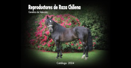 Mundo Corralero lanzó el libro "Reproductores de Raza Chilena. Genética de Selección"
