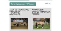 App Caballo Chileno lanzó nueva sección para conocer participantes del Campeonato Nacional de Rodeo