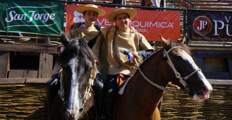 Almendras en Santa Rosa de Tinajón: La idea es llegar a Rancagua y que los caballos se vean bien