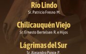 Criaderos Río Lindo, Chilicauquén Viejo y Lágrimas del Sur salen a remate este miércoles