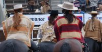 Medialuna Entre Campos recibe la acción de la XII Final de Rodeos Promocionales Femeninos