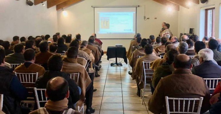 Con alta convocatoria se realizaron capacitaciones de delegados en Linares y Los Andes