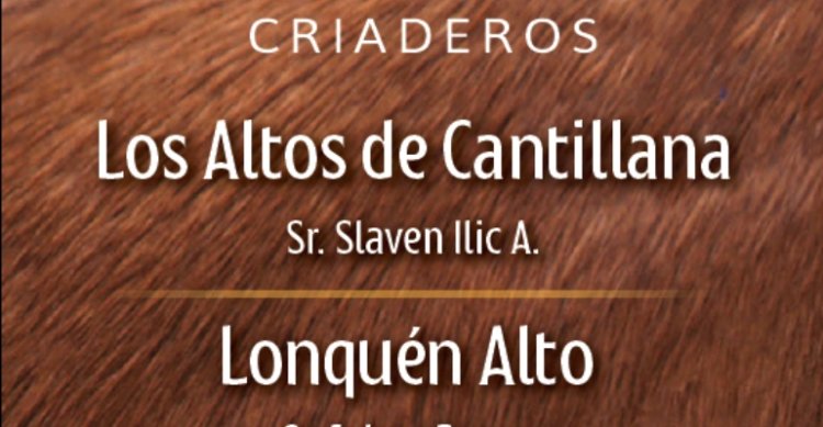 Criaderos Los Altos de Cantillana, Lonquén Alto y Casas del Colegio tienen remate este miércoles