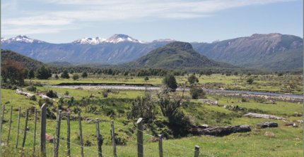 Criaderos Kila Pangui, Doña Tuca, La Aventura y Rinconada de Huelquén salen a remate este jueves