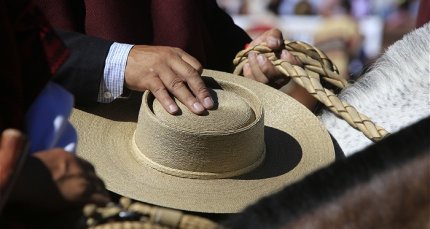 Ferochi: Está disponible plataforma para renovación de carné y solicitud de rodeos