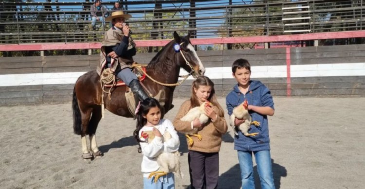 Colegio Maitenes disfrutó gran jornada en torno a las tradiciones