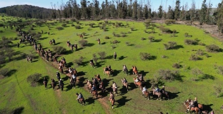 Cabalgata Familiar de los Criadores de Casablanca y Melipilla tiene todo armado para este sábado