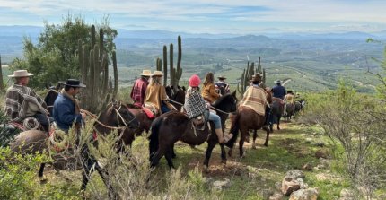 Cabalgata de los Criadores de Casablanca y Melipilla fue un éxito con 342 jinetes de todas las edades