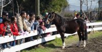 Asociación Cordillera enseñó a niños sobre el rodeo y el caballo chileno