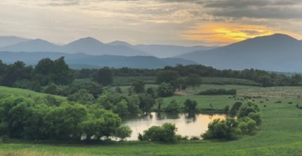 Criaderos Las Peñas y San Miguel y Don Horacio tienen atractivo remate este miércoles