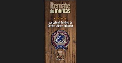 Remate de montas de los Criadores de Petorca tiene sus últimos días