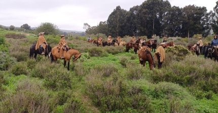 Lindos paisajes y mucha camaradería tuvo la Cabalgata de los Criadores de Coquimbo