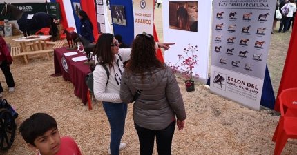 Positivo balance tuvo el Salón del Caballo Chileno en el Parque Padre Hurtado