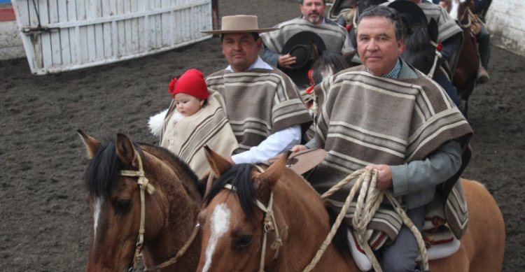 Criadero Casas del Liguay hizo historia en la Asociación Maule Sur