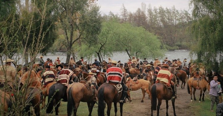 Cabalgata de la Municipalidad de Cabrero y Criadores de Concepción tuvo impresionante convocatoria