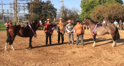 Criadores de Cardenal Caro esperan gran participación para la Expogama