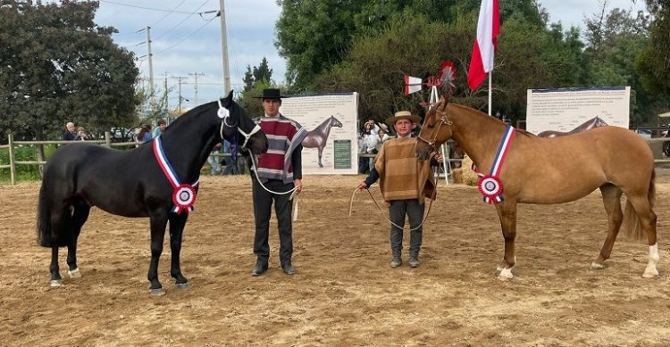 Año Seco y Buena Mezcla fueron coronados en la concurrida Expogama Marchigüe