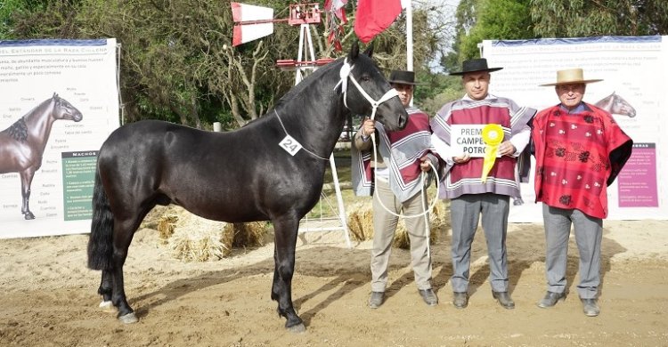 Eduardo Burmester destacó el éxito de la Expogama: 