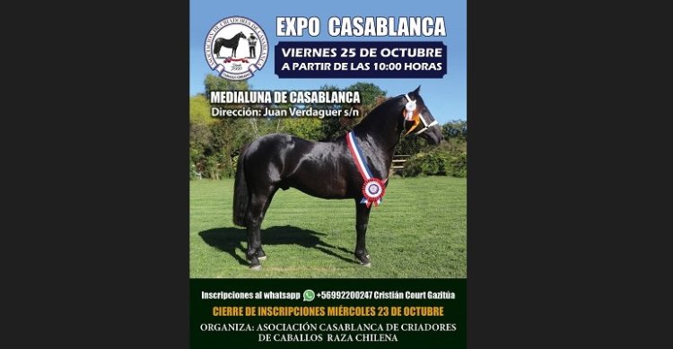 Expo Casablanca: Siguen abiertas las inscripciones para un evento con grandes atractivos