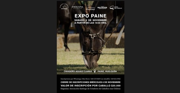 Aguas Claras de Huelquén se prepara para recibir al mundo huaso en la Expo Paine