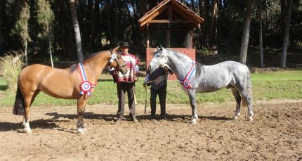 Criadores de Quillota comenzaron los preparativos para su exposición