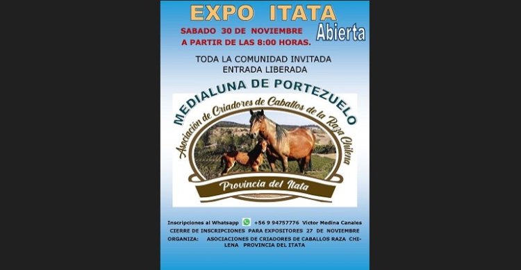 Criadores de Itata trabajan para recibir muy bien a los participantes de su exposición en Portezuelo