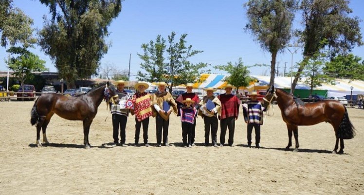 Criadores de O'Higgins llevarán su exposición a Graneros