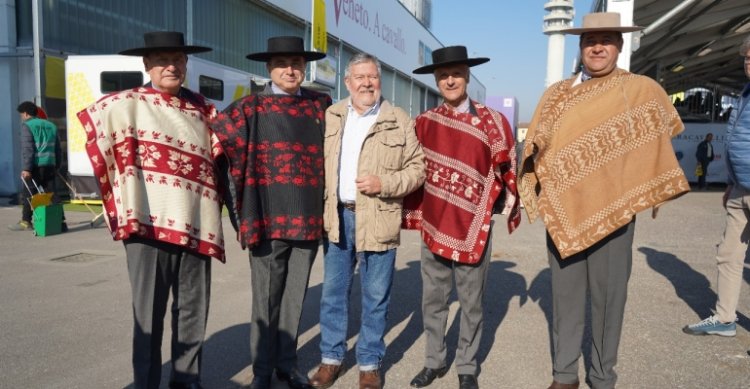 Gran historia: Un criador chileno que vive en Suiza llegó hasta la Fieracavalli