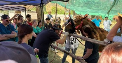 Finales de Calle Larga tendrán clínica veterinaria gracias a convenio municipal con Universidad del Alba