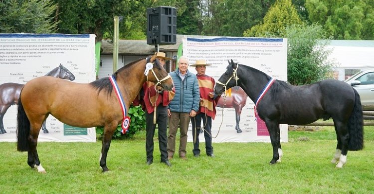 Espartaco y Farándula le dieron gran triunfo a El Ideal en la Expo SOFO