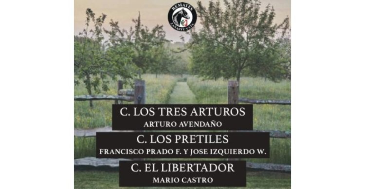 Criaderos Los Tres Arturos, Los Pretiles, El Libertador y On Chejo salen a remate este jueves