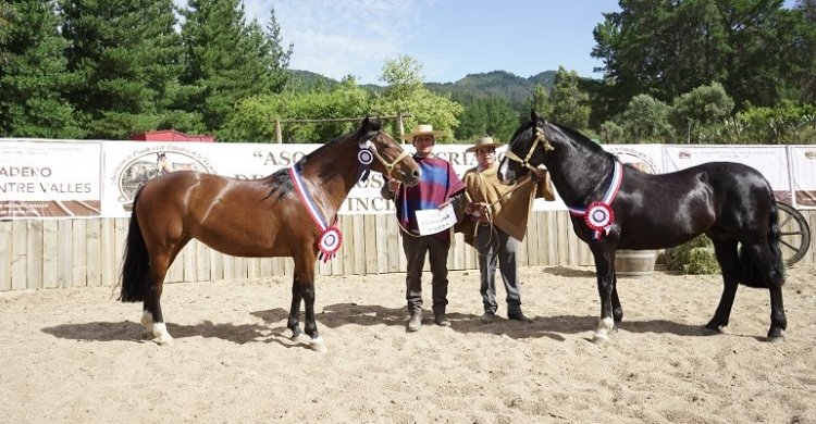 Expo Itata: Carlota y Justiciero fueron coronados en Portezuelo