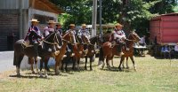 La actividad de los Criadores de O'Higgins en Graneros