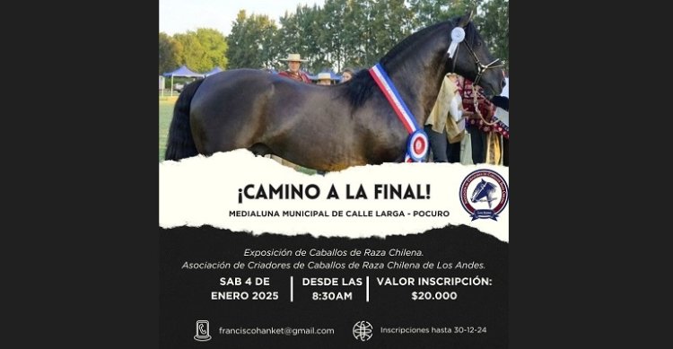 Criadores de Los Andes harán el ensayo general para las Finales con exposición en Calle Larga