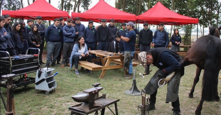 Federación del Rodeo Chileno informa sobre certificación de los clubes