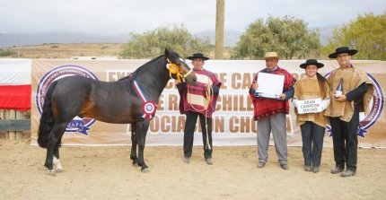 Un criador con larga experiencia y otro que recién empieza triunfaron en Los Vilos