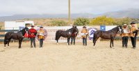 Los Grandes Premios de la Expo Choapa 2024