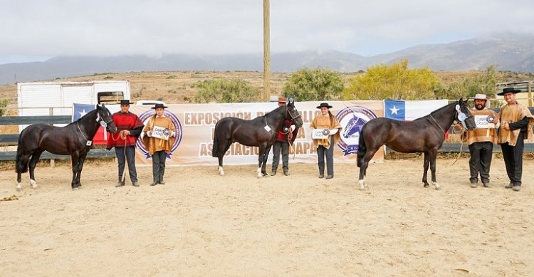 Los Grandes Premios de la Expo Choapa 2024