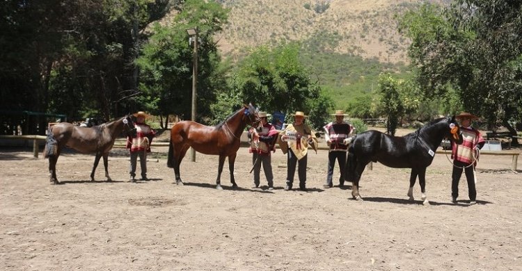 Expo Maipo contará con bastante participación en Hospital