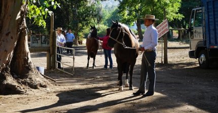 [Streaming] Sigue las exposiciones de Maipo y Petorca