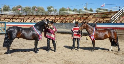 Expo Catapilco coronó a Contento y Es Fija como Grandes Campeones