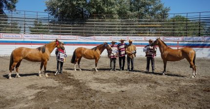 Los Grandes Premios de la Expo Longaví 2024