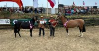 Pretenciosa y Despido se quedaron con los premios principales en la Expo Carampangue