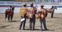 Así se vivió la Exposición de la Asociación Linares en Longaví